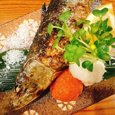 いわし塩焼き　明太山椒