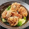 料理メニュー写真&nbsp;揚げ物各種1