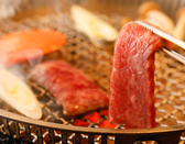 炭火焼肉 美食中華 一作の詳細