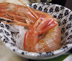 特大大海老刺身！2尾入り