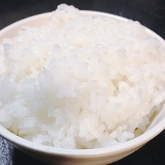 白ご飯 並