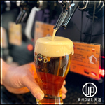 単品での飲み放題もご用意しています。生・クラフトビールや地酒などを豊富にお楽しみいただけます。