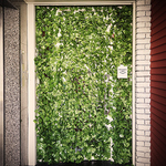 -看板のない居酒屋-お客様の口コミが当店の看板です。