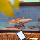 博多もつ鍋 安明 福岡博多本店の雰囲気2