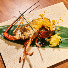 SHUHARI TIAD AUTOGRAPH COLLECTION シュハリ ティアド オートグラフ コレクションのコース写真