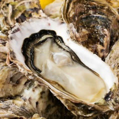 大きな身が特徴の新鮮さがうりの岩牡蠣【天然岩牡蠣】の写真