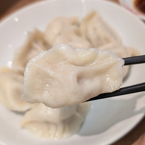1+dumpling ���c�n��X