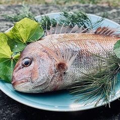 徳島の恵みを、一皿に込めて