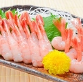 料理メニュー写真 甘海老の刺身