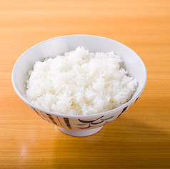 ごはん 各種