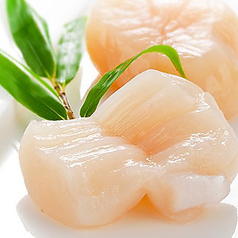 ホタテのお刺身