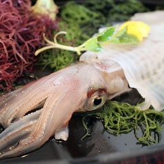 活烏賊と炭焼 のすけのコース写真