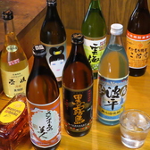 単品飲み放題