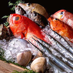 旨い魚と鶏とレモンサワー 大漁酒場 南越谷店のコース写真