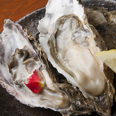 酒と肴 ぐ～の特集写真