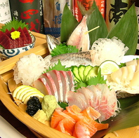 毎日直送される新鮮魚介をお刺身やお寿司で堪能！