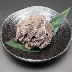センマイ