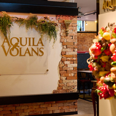 AQUILA VOLANS アクイラ ウォランスの特集写真