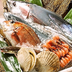 完全個室居酒屋 貝舞達 かまいたち 南越谷店特集写真1