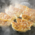 料理メニュー写真 焼き棒餃子