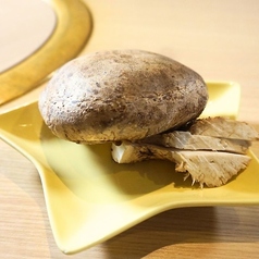 しいたけの王様