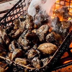 宮崎酒場ゑびす EKIZO 神戸三宮の特集写真