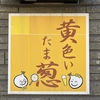 黄色いたま葱の写真