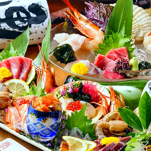 �����Ȃ�� �{�� �����X