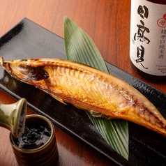 金華さばの一夜干し　（半身）