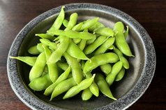 普通の枝豆