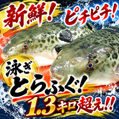 高槻・活ふぐ専門店 二代目 ふぐ義の写真2
