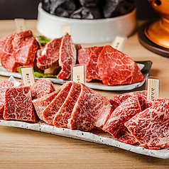 炭火焼肉ひうち はなれのコース写真