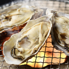 焼き、蒸し牡蠣