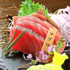 マグロのお造り