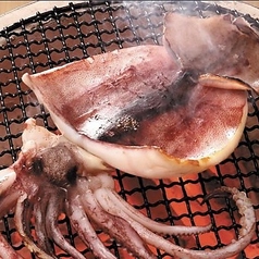 イカ1夜干し