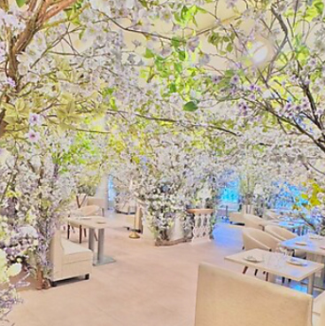 オートクチュールブランチの雰囲気1