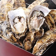 大人気！牡蠣のガンガン焼き/4個980円　8個1780円