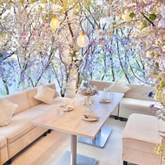 オートクチュールブランチの雰囲気2