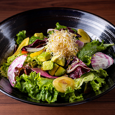 アボカドエビサラダ