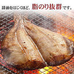 縞ほっけ焼き　【限定10食】