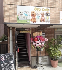 good cafe dog cafe ObhJtFhbOJtF̎ʐ^