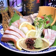 造り 3種盛り/造り 5種盛り