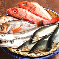 ≪毎朝、築地で買い付けをした新鮮な旬の鮮魚≫