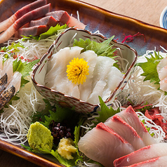 【平日 月~金限定!17時~19時】刺身盛り合わせ 30%OFF