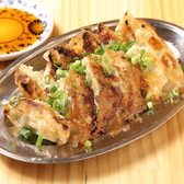 段原餃肴（だんばらぎょうざ）のおすすめ料理2