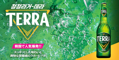テラビール(中瓶)