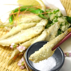 阿寒湖産!ワカサギの天ぷら~こだわりの塩で~