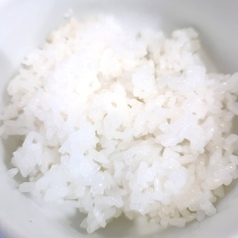 ライス