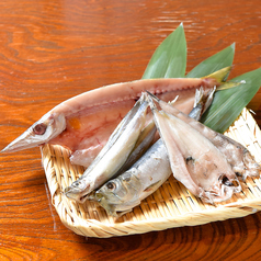 カツタ ロバタの特集写真