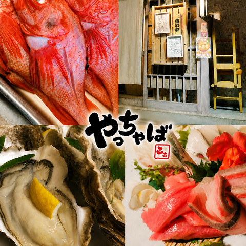 高鮮度の海鮮が大人気の海鮮居酒屋。接待、ご家族連れ、女子会にも人気！